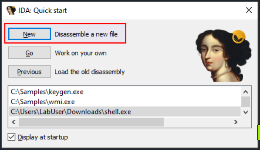 intro malware analysis 23