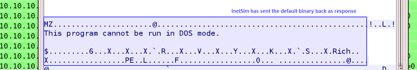 intro malware analysis 82
